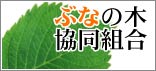 �ԂȂ̖؋����g��